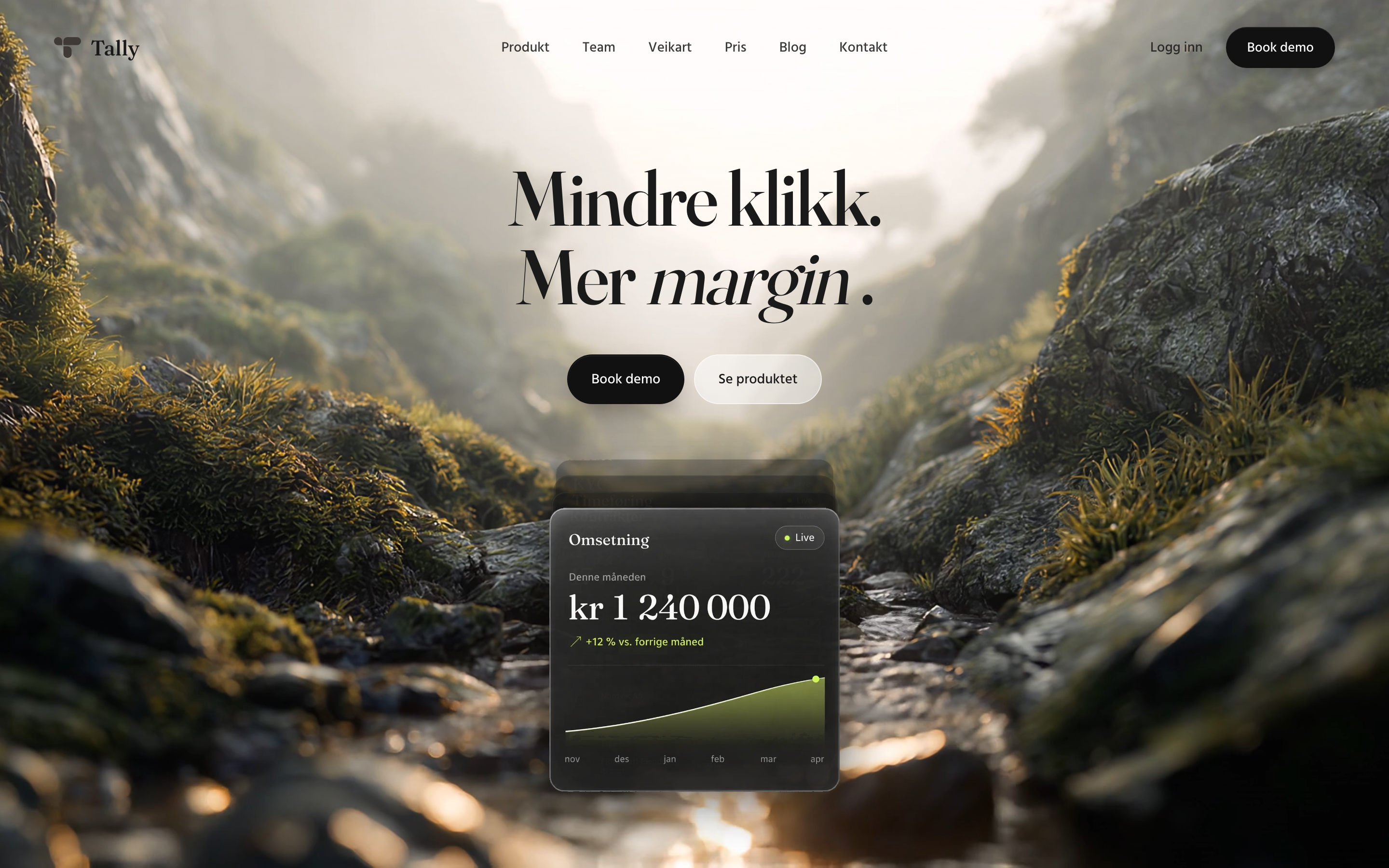 Tally — landingsside på desktop